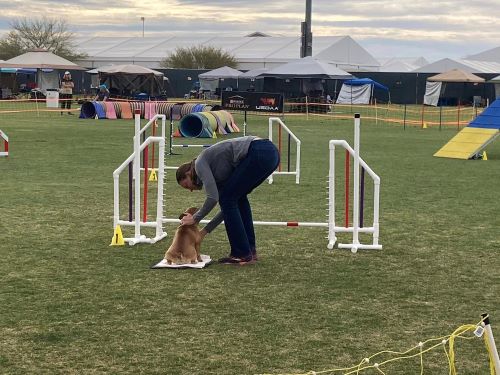 Wild West Regional 2024 - Crystal Blaker and Gigi 500