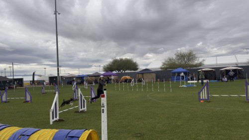 Wild West Regional-Good Dog Agility 500