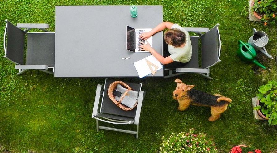 YM WW aerial view dog in garden work at home crop hps