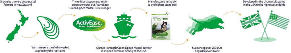 YM WW mussels graphic smaller