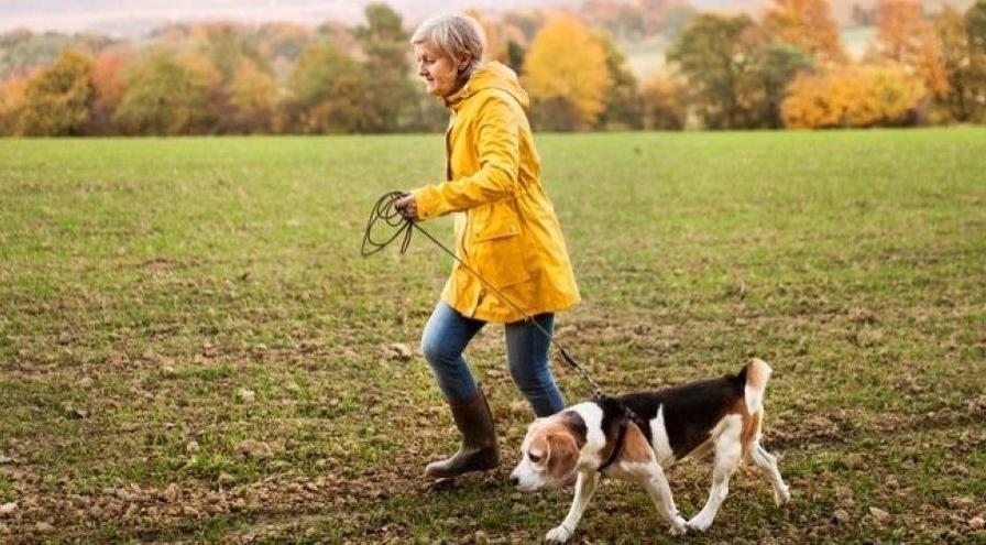 YM WW woman walking dog crop hps