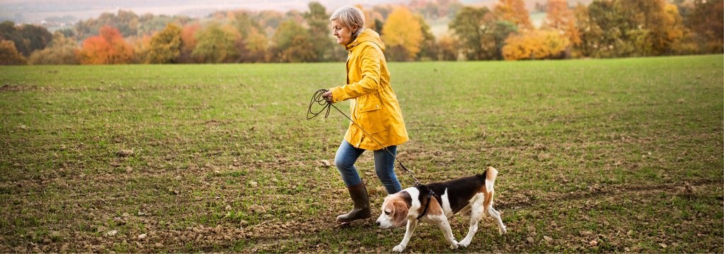 YM WW woman walking dog original