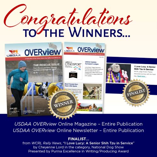 YP_DWAA Writing Competition Awards Post 500