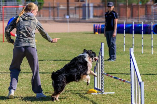 Young Lexi Wiethoff and Bronx 500