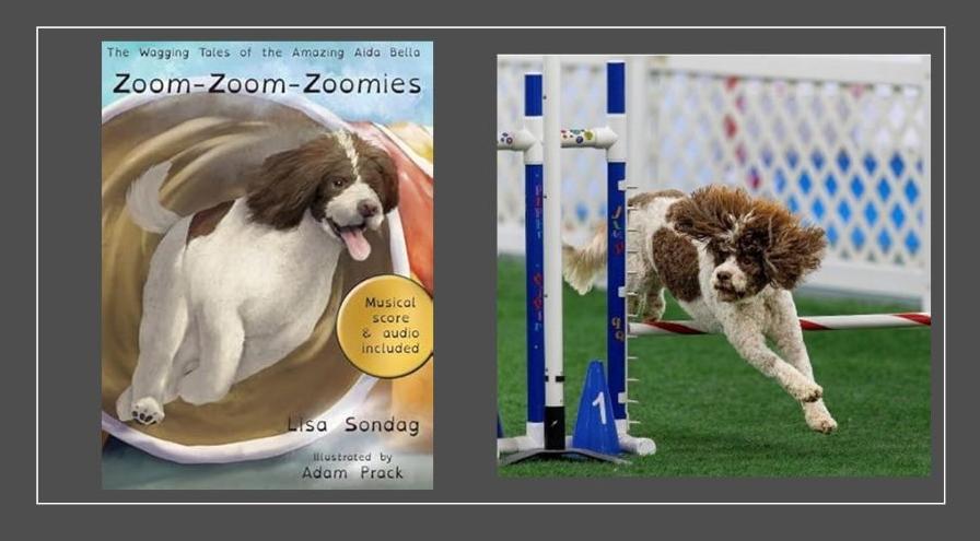 aida bella zoomies hps