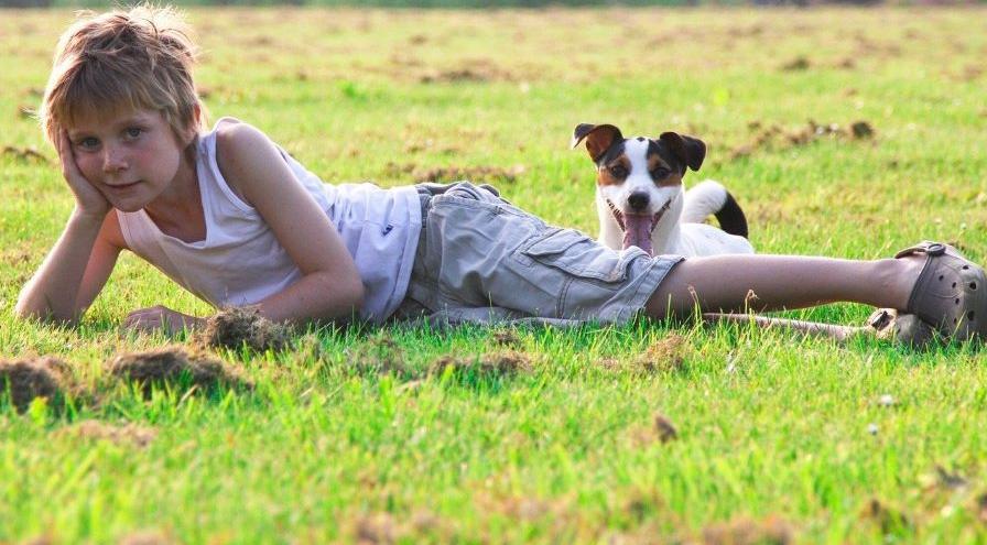 boy with dog in field by Gisela Merkuur from Pixabay hps