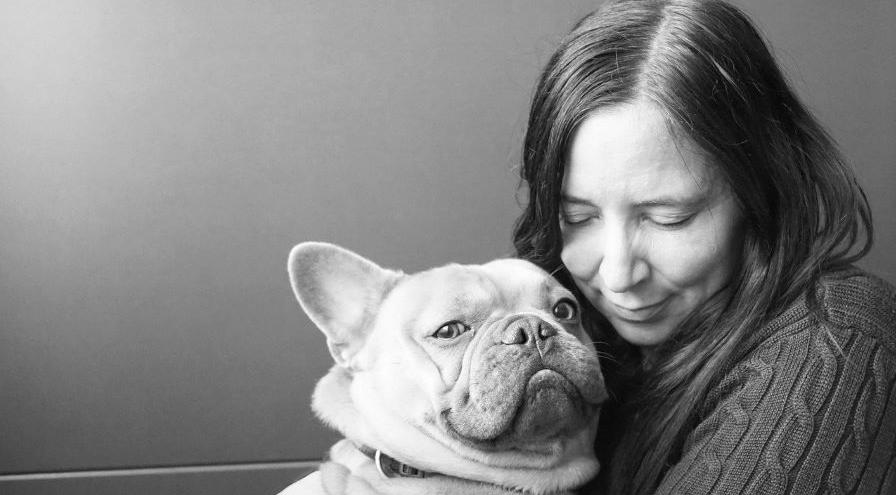 french-bulldog-Image by Mylene2401 from Pixabay hps