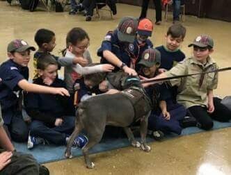 cub scouts petting Jeffrey