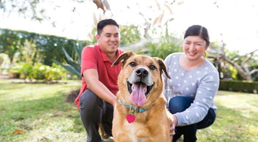 purina-comitment-to-animal-welfare hps